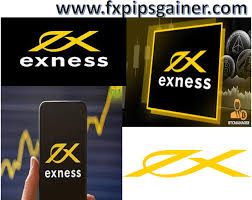 Understanding Exness MT5 Server Features, Benefits, and Trading Strategies