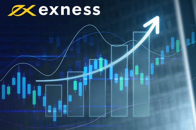 Essential Exness Contact Details for Traders Essential Exness Contact Details for Traders