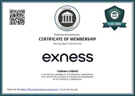 Unlocking Profits with Exness Signal Your Guide to Successful Trading